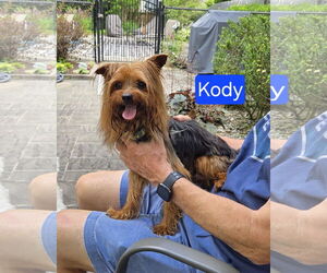 Mutt Dogs for adoption in Oakhurst, NJ, USA