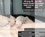 Image preview for Ad Listing. Nickname: Emily