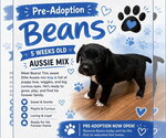 Small #6 Australian Shepherd Mix