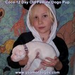 Small Photo #40 Dogo Argentino Puppy For Sale in JANE, MO, USA