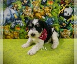 Image preview for Ad Listing. Nickname: Kase