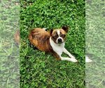 Image preview for Ad Listing. Nickname: Izzy