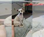 Small Bo-Dach