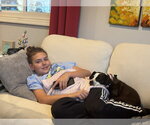 Small #1 Jack Russell Terrier Mix