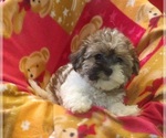 Image preview for Ad Listing. Nickname: Vivi