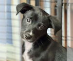 Small #3 Breeder Profile image