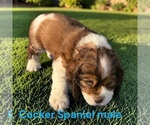 Image preview for Ad Listing. Nickname: Male