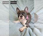 Image preview for Ad Listing. Nickname: Helena