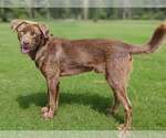 Small #3 Breeder Profile image