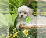 Image preview for Ad Listing. Nickname: Karmel