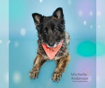 Small #2 German Shepherd Dog