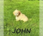 Image preview for Ad Listing. Nickname: John