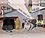 Small #2 Chihuahua