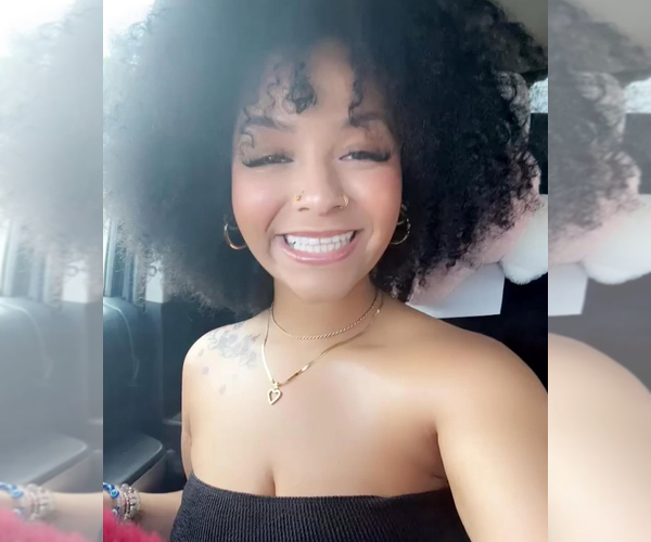 Medium Photo #1 Pomsky Puppy For Sale in HAUPPAUGE, NY, USA