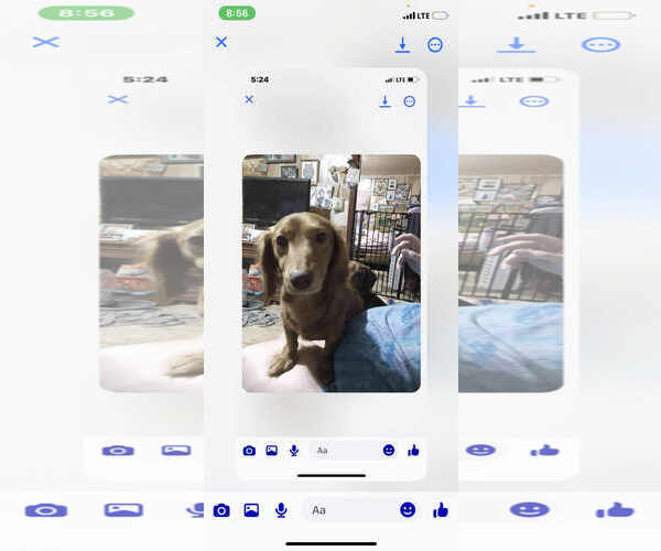 Medium Photo #1 Dachshund Puppy For Sale in Buffalo, MN, USA