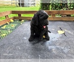 Image preview for Ad Listing. Nickname: Girl 4