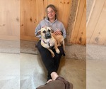 Small Photo #7 Mutt Puppy For Sale in Derwood, MD, USA