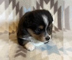 Image preview for Ad Listing. Nickname: River F2