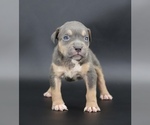 Image preview for Ad Listing. Nickname: Starlet