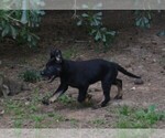 Image preview for Ad Listing. Nickname: Tilly