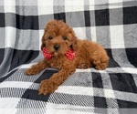 Image preview for Ad Listing. Nickname: Bruno