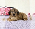 Image preview for Ad Listing. Nickname: Damian