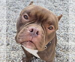 Small #3 Breeder Profile image