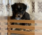 Image preview for Ad Listing. Nickname: MMM