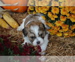  - Photo #2
