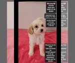 Image preview for Ad Listing. Nickname: Delilah