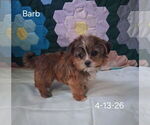 Image preview for Ad Listing. Nickname: Barb