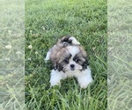 Image preview for Ad Listing. Nickname: Sharla