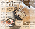 Small Photo #1 Great Pyrenees Puppy For Sale in WATKINSVILLE, GA, USA