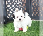 Image preview for Ad Listing. Nickname: Grace
