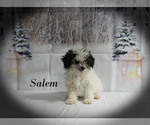 Image preview for Ad Listing. Nickname: Salem