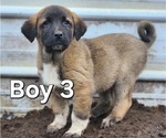 Image preview for Ad Listing. Nickname: Boy 3