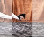  - Photo #6