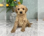 Image preview for Ad Listing. Nickname: George