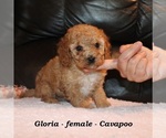 Image preview for Ad Listing. Nickname: Gloria