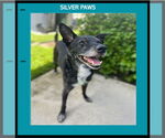 Small #3 Breeder Profile image