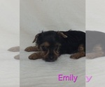 Image preview for Ad Listing. Nickname: Emily