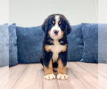 Image preview for Ad Listing. Nickname: Ivy