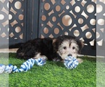 Small #2 Yo-Chon