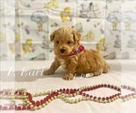 Image preview for Ad Listing. Nickname: Earl