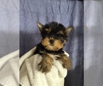Image preview for Ad Listing. Nickname: Dina