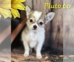 Image preview for Ad Listing. Nickname: Pluto