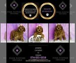 Small Photo #13 Cavapoo (Miniature) Puppy For Sale in WARSAW, IN, USA