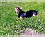 Small #7 Chilier