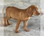 Small #2 Labbe