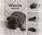 Image preview for Ad Listing. Nickname: Wanda